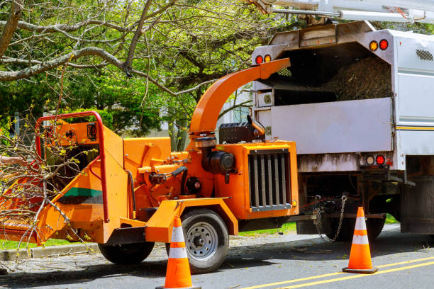 Best Arborist Services Near Me  in Gettysburg, PA